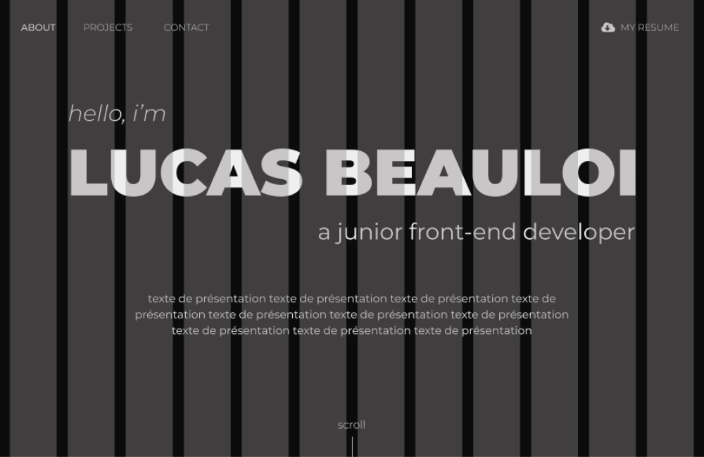 Portfolio's project picture